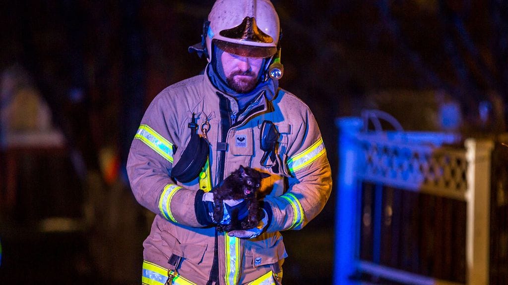 Pelastustehtävä kissa Hamina 20.11.2016