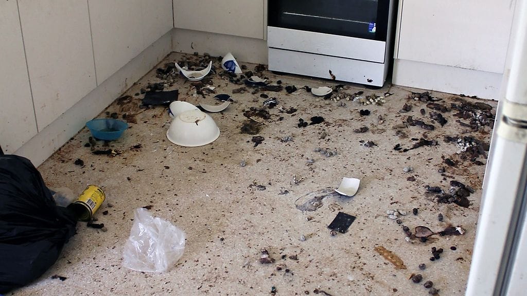 Tältä näytti keittiö talossa, jonne omistaja oli jättänyt 14 kissansa ilman ruokaa ja juomaa.