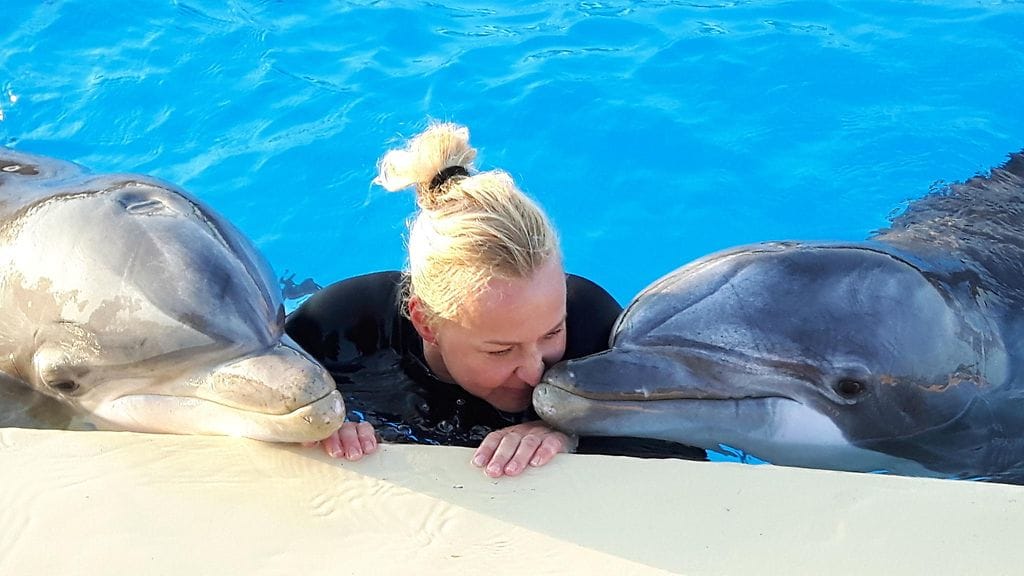 Leevi ja Eevertti -delfiinit pääkouluttajansa Sari Järvisalon kanssa Attican eläintarhassa.