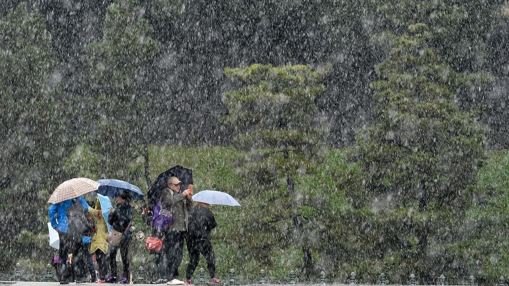 Japanin ensilumi marraskuussa 2016 1