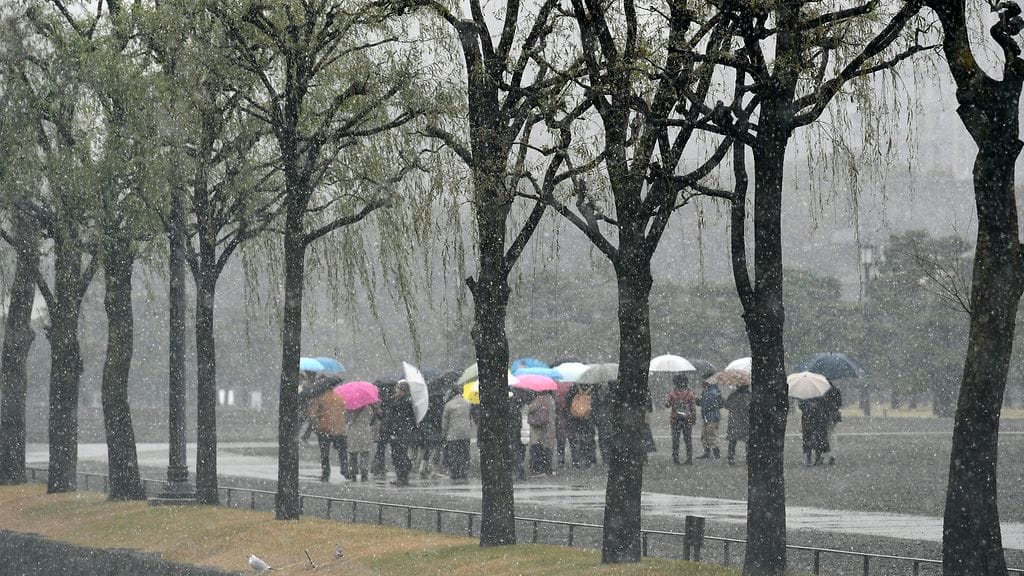 Japanin ensilumi marraskuussa 2016 2