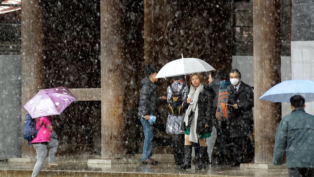 Japanin ensilumi marraskuu 2016 3