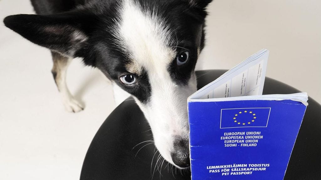 Tänä vuonna Tulli on tehnyt jo 15 800 tarkastusta, ja ne ovat aiheuttaneet 440 tointa.