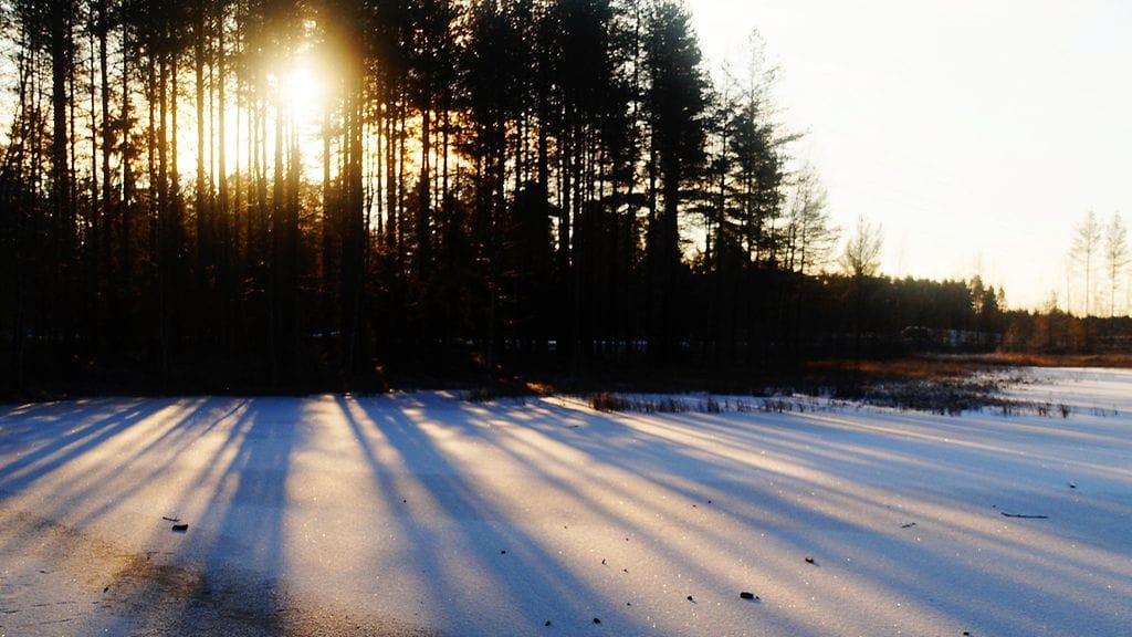 Hentoista lumipeitettä Lämsänjärvellä Oulussa. Lukijan kuva.