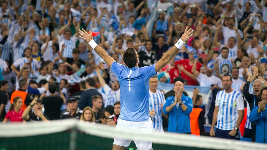 Juan Martin del Potro