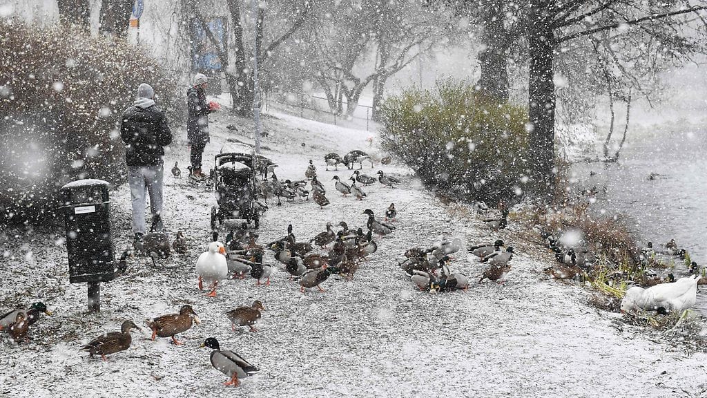 Talvimyrsky riehui myös Sundbybergissa Tukholman lähistöllä tänään.