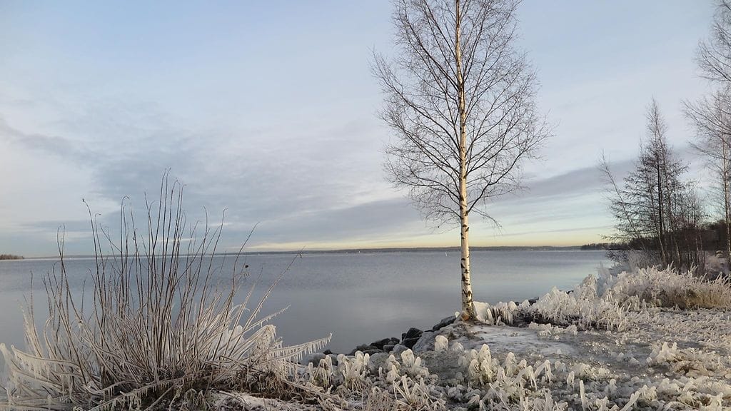 Lukijan kuva Näsijärveltä 29. marraskuuta 2016. Kuvaaja: Irma Nieminen.
