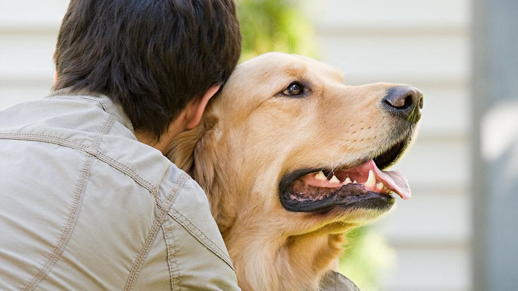 Lennolta poistetun perheen äiti toteaa, että lentoemäntä ei selvästikään pitänyt eläimistä.