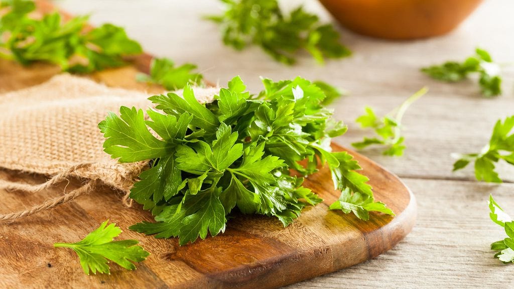 Persiljan nauttiminen painoa pudottaessa saattaa ehkäistä jojo-efektin aiheuttaman painon nousun dieetin loputtua.