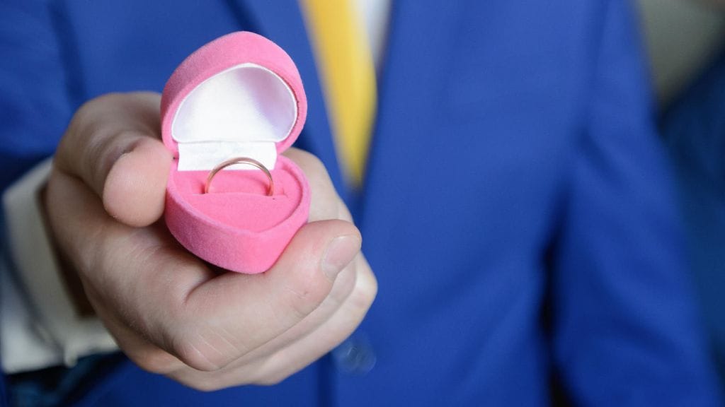 Kuka nainen voisi vastustaa romanttista kosintaa ja pientä kissanpentua?