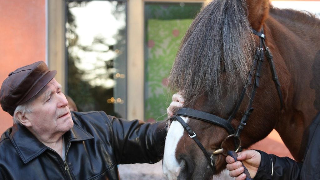 Joel Vesalainen tapaa Linnanjuhlissa toisia hevosmiehiä kuten Jorma Kontion ja Mika Forssin.
