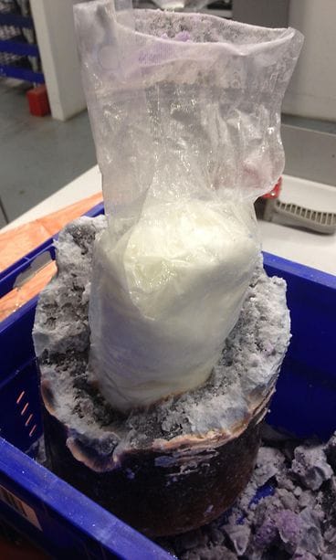 huumeet-3 Tullin kuvaa