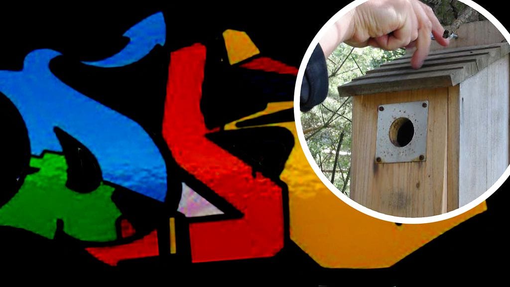 Douppikauppa (logo taustalla) välitti huumeet alakaupoille muun muassa kuvassa jättämällä ne ennalta sovittuihin linnunpönttöihin.