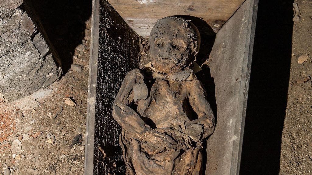 Vilnan Holy Spirit -kirkon kryptan lapsivainajasta ei tiedetä paljon. Radiohiiliajoituksen perusteella hänen tiedetään kuolleen vuosien 1643 ja 1665 välisenä aikana. Hänen arvioidaan olleen alle viiden vuoden ikäinen.