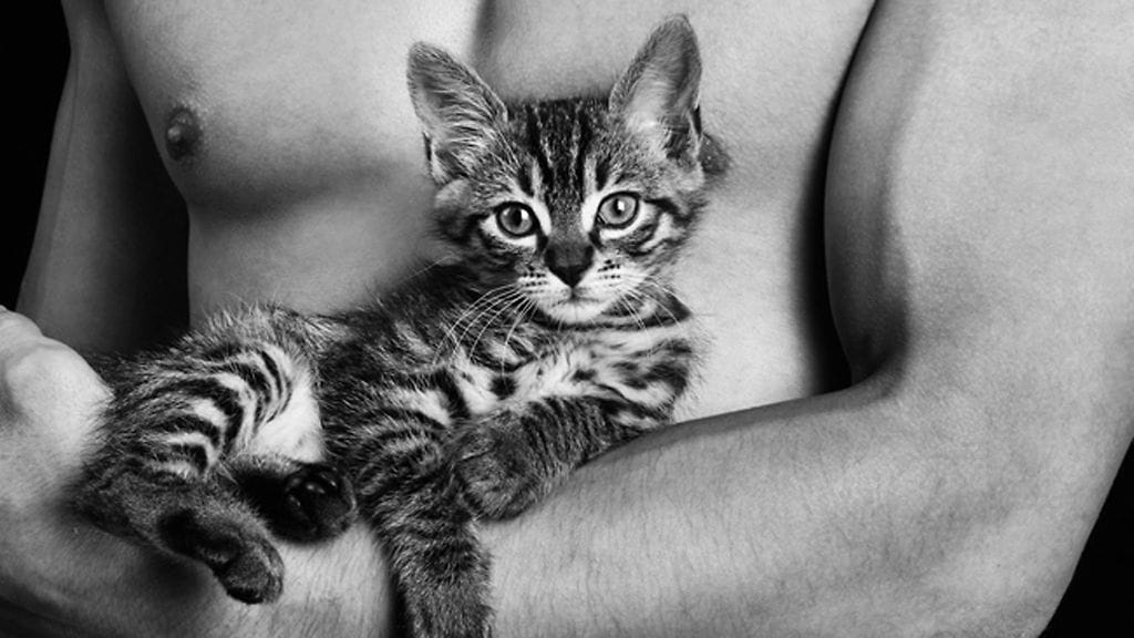 Lihaksia ja söpöjä kissanpentuja – joka naisen unelma?