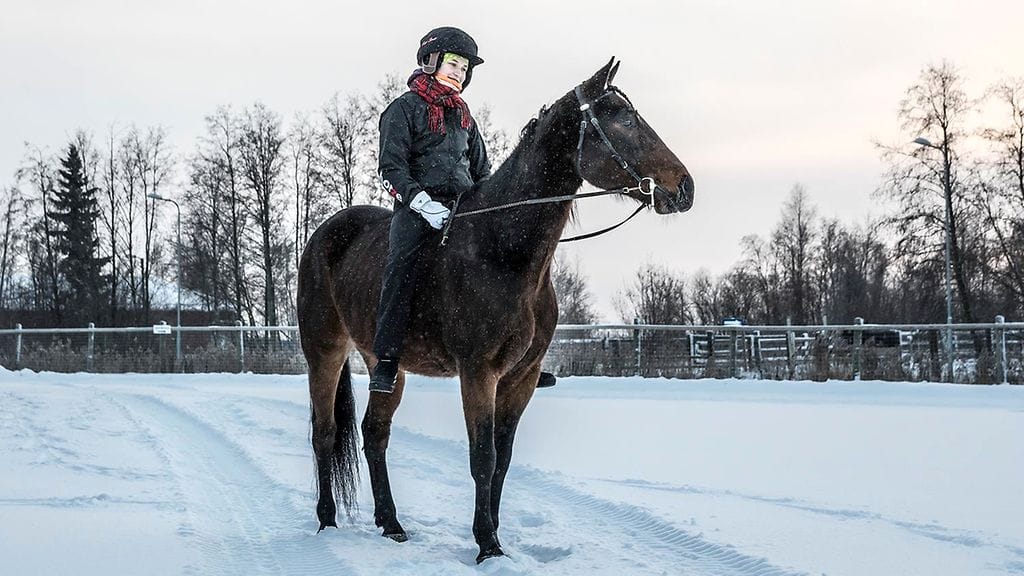 Oulun Iiro ratsastus