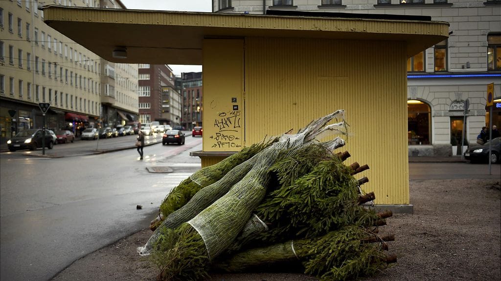 Joulukuusipino Kampissa Helsingissä 17. joulukuuta 2015