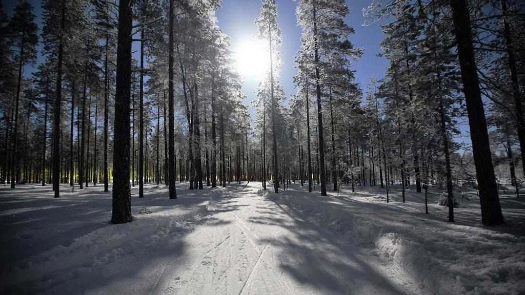 kuutamo kuu sää talvi maisema hiihtolatu metsä vaala