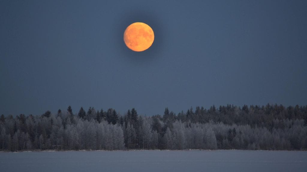 kuutamo kuu talvi
