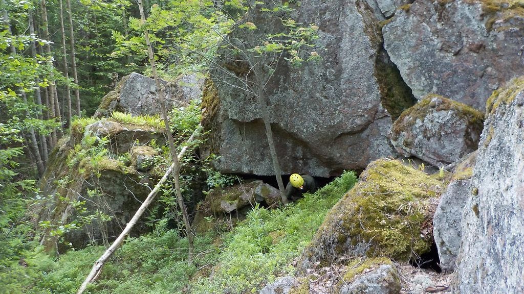 Miljöökuva 1_vaakapimentolan suuaukko_kuvaaja Mari Pylkkö