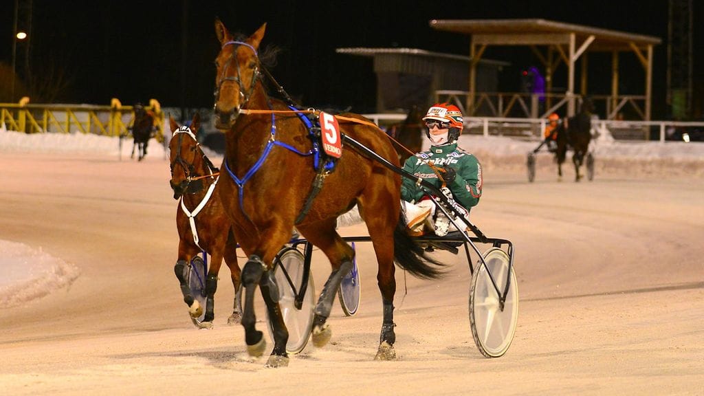 Vagabondoa on ohjastanut Vermon raveissa myös Hannu Torvinen. Tänään ohjat ottaa jälleen Mika Forss.