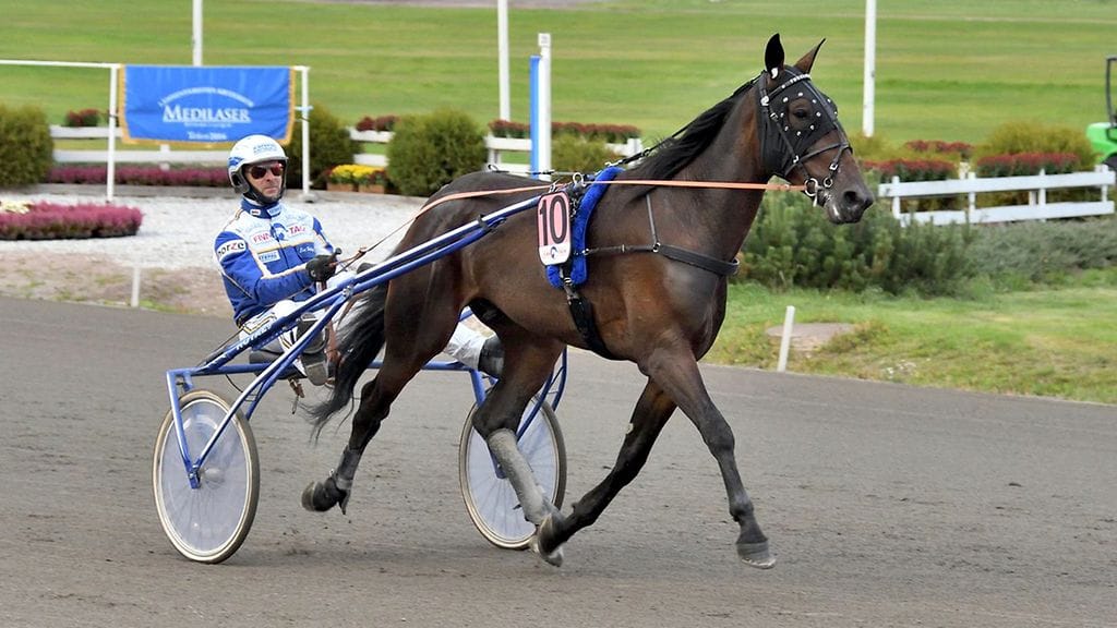 Anja Tammisen valmentajauran viimeiseksi kilpailuksi jäi Freelancerin juoksu Kriterium-finaalissa. Esa Holopainen ohjasti.