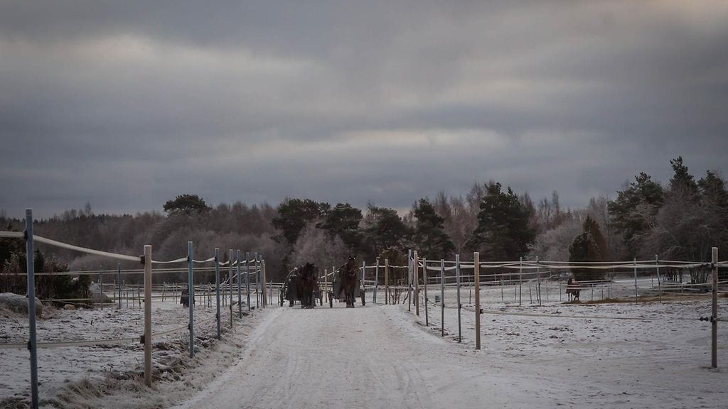 Kuvituskuva