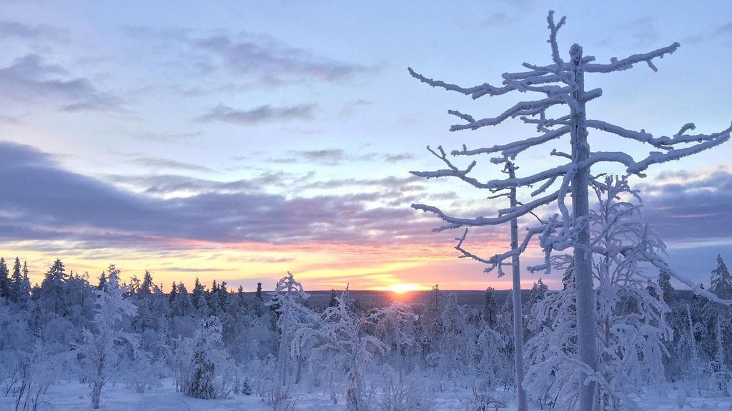 Auringonlasku Rovaniemen Ounasvaaralla 18.12.2006 kello 12.30. Carlos Sunila.