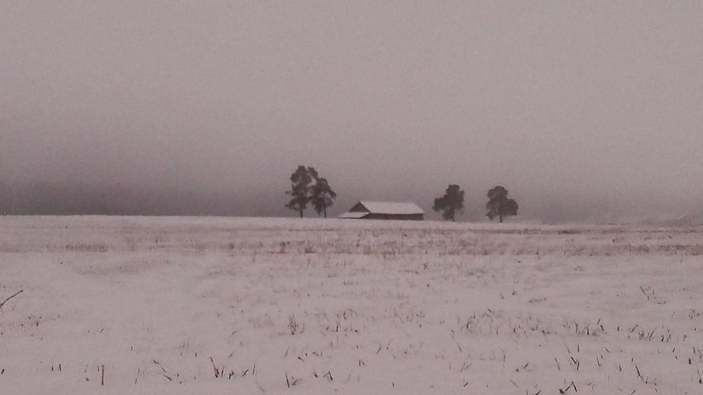Matkalla Lpr - Hki. Reippaasti Kouvolan jälkeen, noin 100 km ennen Helsinkiä. Tiina Luoranen
