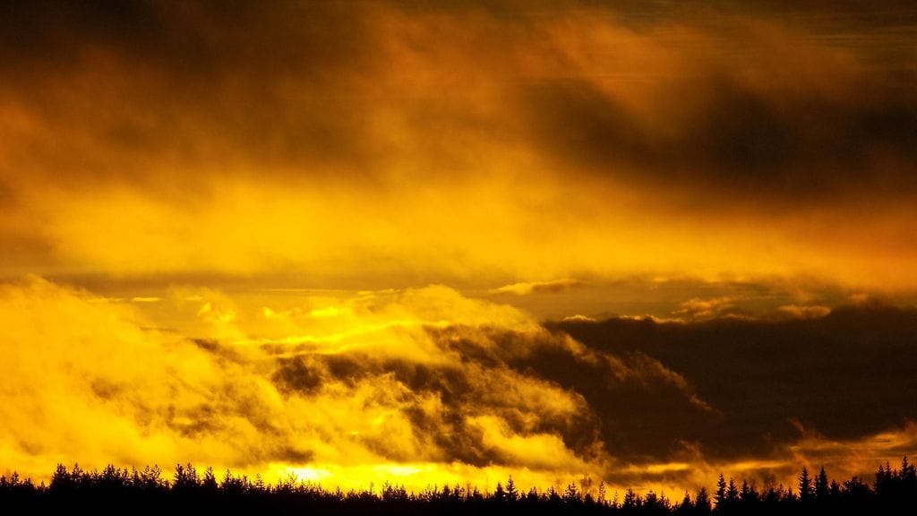 taisto hämäläinen häkkilä 17.12.2016