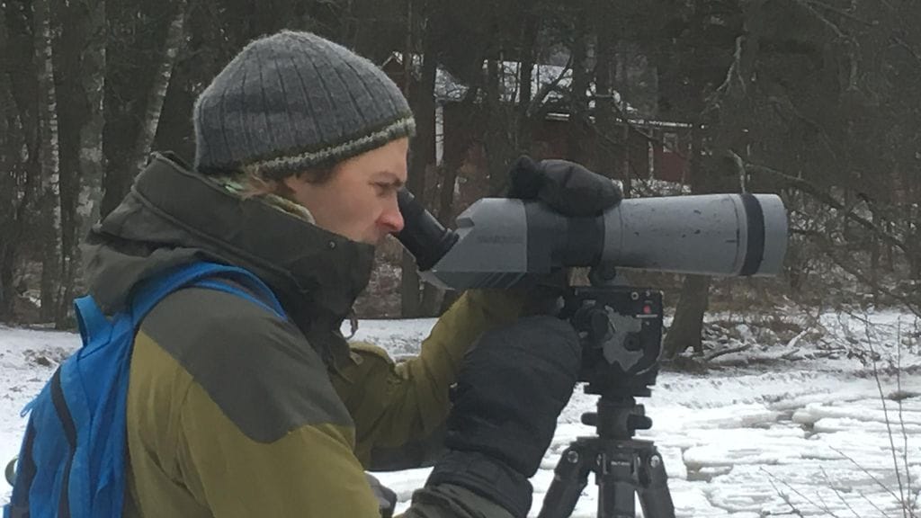 Linnut, Aleksi Lehikoinen