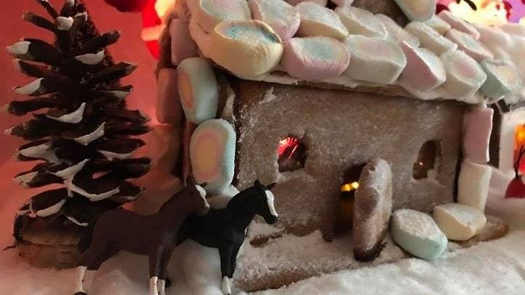 15666438_10211416783245888_1979871295_n