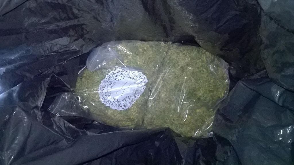 4969ea22762aab2c5c423e6e4ecd813080021fd3