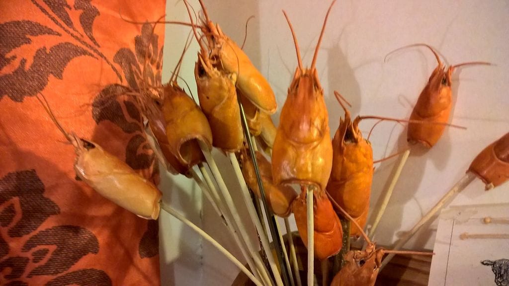 WP_20161222_12_59_37_Pro