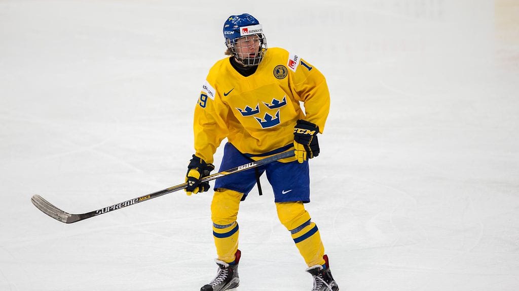 Alexander Nylander, 2016