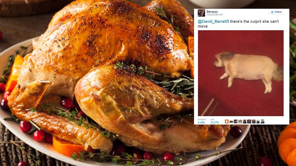 Shutterstock, toisen kuvan lähde Twitter.