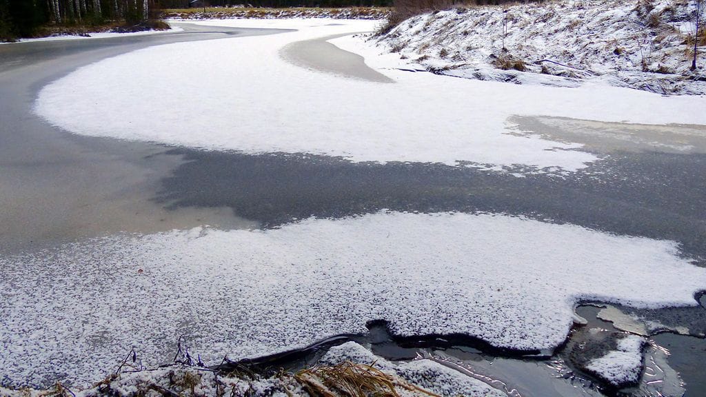 Kuvituksena lukijan kuva.