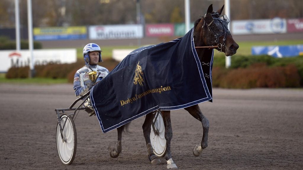 Esa Holopaisen ohjastama Stoneisle Lilian Vermossa lokakuussa 2014.