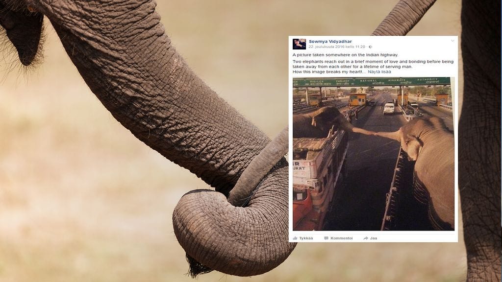 Bangaloren kaupungissa otettu kuva on painunut lukuisten ihmisten sydämiin.