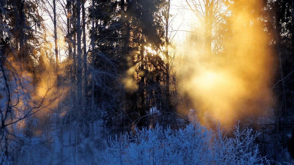 Laukaa, Kuusaankoski ja 20 astetta pakkasta tänään. Lukijan mukaan hyytävän kaunista.