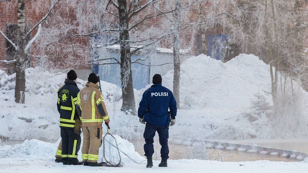 Joutsenta pelastetaan Lahdessa Niemen satamassa.