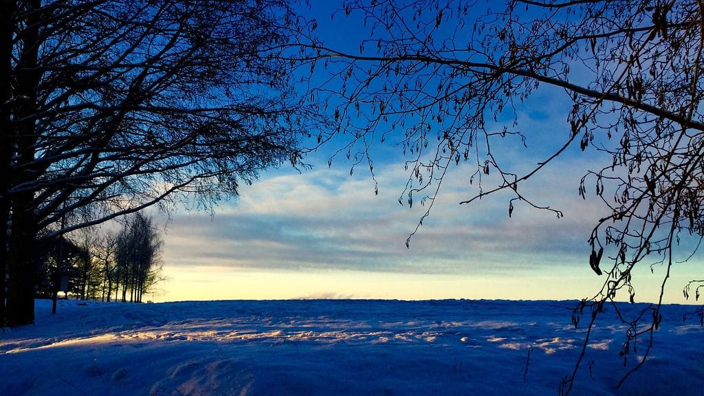 jarkko ylanen tampere lapinniemi