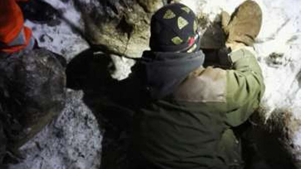 Ruusa-koiraa yritetään houkutella pois pinteestä.