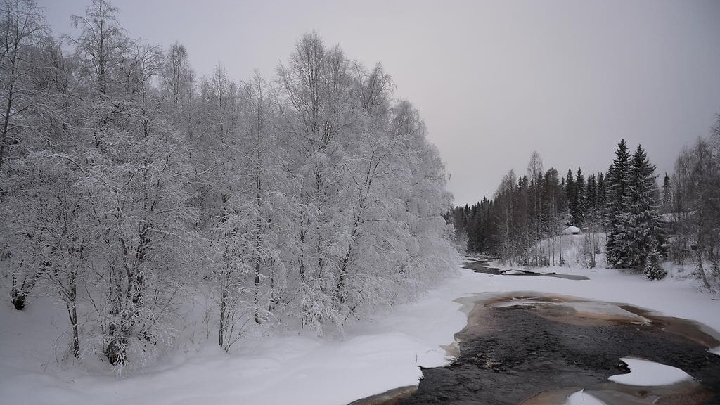 Heikkilänkoski Nurmeksen Saramolla virtasi vielä sunnuntaina sulana. Lukijan kuva.