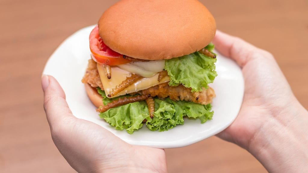 Hyönteisruoka ötökät