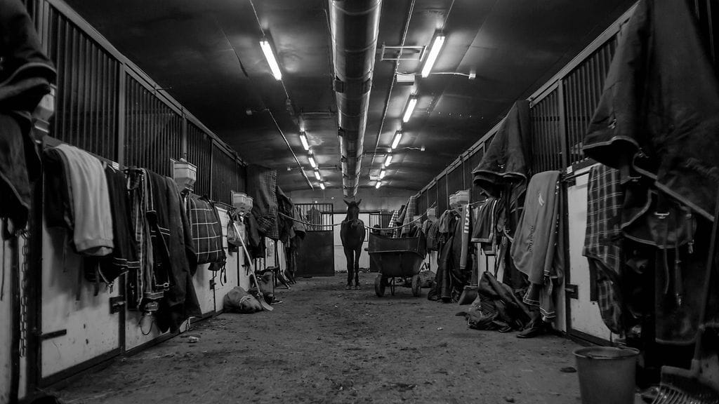 Monet tämän lauantain avainhevosista tulevat Harri Koivusen tallista Turun raviradalta.