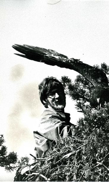 Merikotka, merikotkatyöryhmä, WWF, Joutsamo