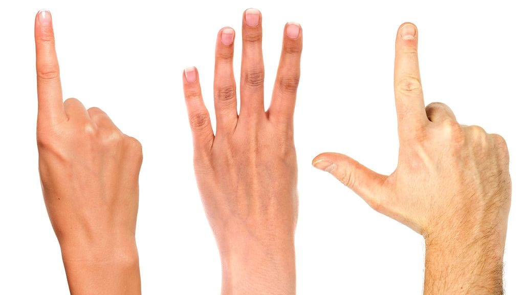 Mikä näistä muistuttaa sinun kättäsi eniten?