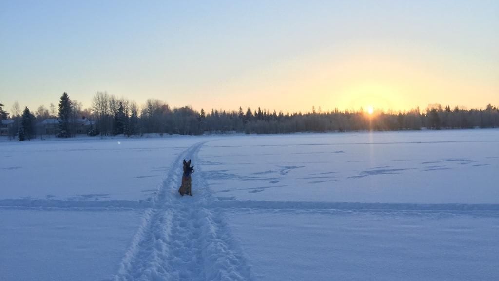 Lapissa kaunis auringonpaiste ja kipappa pakkanen. Kuva Rovaniemeltä, kuvassa Kemijoki.