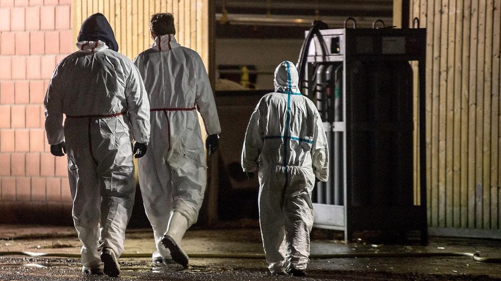 Arkistokuva. Terveysviranomaiset menossa saksalaiseen siipikarjatilaan 20.12.2014.